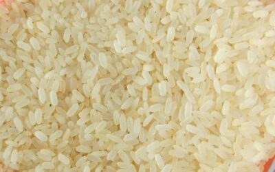 20% EXPORT TAX ON PARABOILED RICE, EXTENDED UNTIL FURTHER ORDER