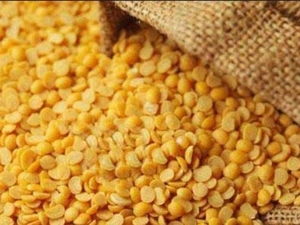 CENTRE WARNS THAT OF PRICE CAP ON TURDAL IMPORTS