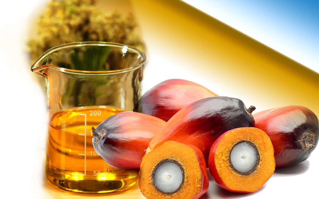 DECEMBER END MALAYSIA PALM OIL STOCKS FALL BY 4.64%