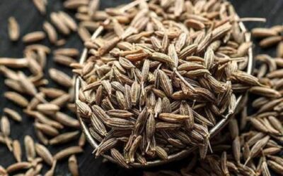 CUMIN (JEERA) ARRIVALS SIGNIFICANTLY INCREASED