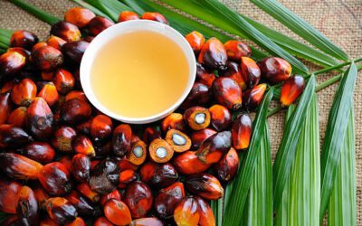 PALM OIL DOWN ON WEAK EXPORTS
